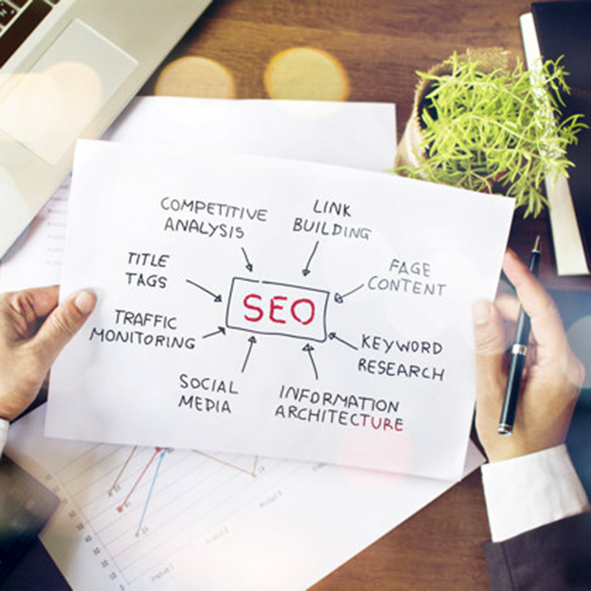 Business Amplifier si occupa di Search Engine Optimization